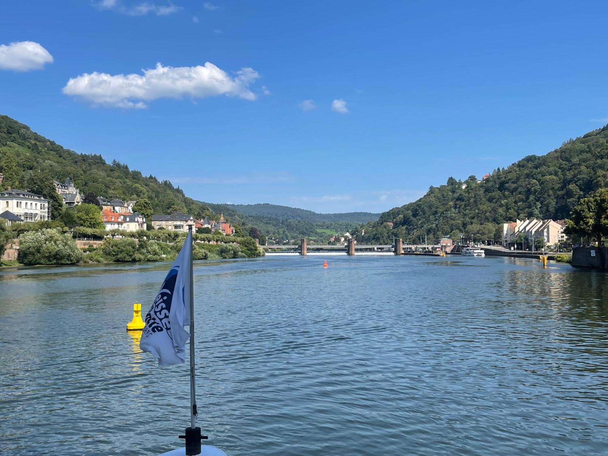 Boardinghouse Goethehaus Apartment ไฮเดลเบิร์ก ภายนอก รูปภาพ